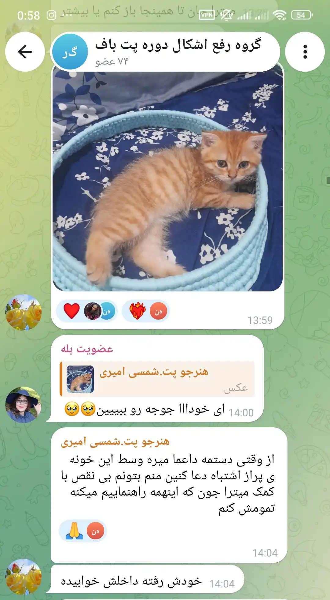 نتیجه هنرجوی دوره سبد پت و استفاده گربه از سبد بافته شده