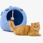 دوره تخصصی سبد پت